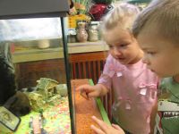 Czytaj więcej: Galeria - Biedronek