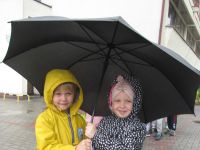 Czytaj więcej: Galeria - Biedronek