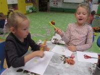 Czytaj więcej: Galeria - Biedronek