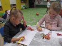 Czytaj więcej: Galeria - Biedronek