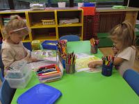 Czytaj więcej: Galeria - Biedronek