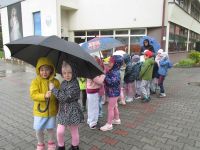 Czytaj więcej: Galeria - Biedronek