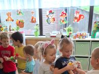 Czytaj więcej: Galeria - Biedronek