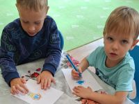 Czytaj więcej: Galeria - Biedronek