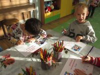 Czytaj więcej: Galeria - Biedronek