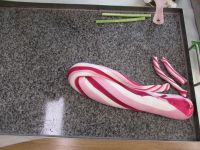 Czytaj więcej: Galeria - Biedronek