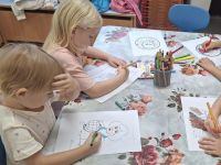 Czytaj więcej: Galeria - Biedronek