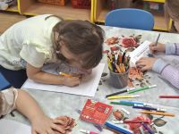 Czytaj więcej: Galeria - Biedronek