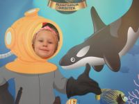 Czytaj więcej: Galeria - Biedronek