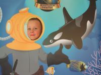 Czytaj więcej: Galeria - Biedronek