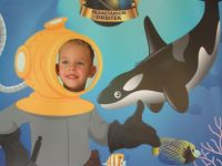 Czytaj więcej: Galeria - Biedronek