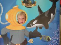 Czytaj więcej: Galeria - Biedronek