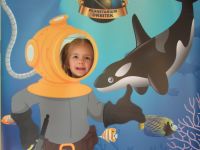 Czytaj więcej: Galeria - Biedronek