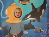 Czytaj więcej: Galeria - Biedronek