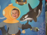 Czytaj więcej: Galeria - Biedronek