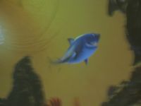 Czytaj więcej: Galeria - Biedronek