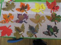 Czytaj więcej: Galeria - Biedronek