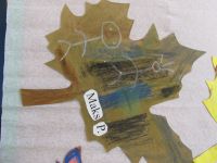 Czytaj więcej: Galeria - Biedronek