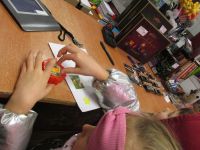 Czytaj więcej: Galeria - Biedronek