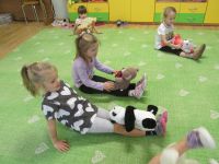 Czytaj więcej: Galeria - Biedronek