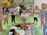 Czytaj więcej: Galeria - Biedronek