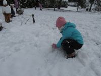 Czytaj więcej: Galeria - Biedronek