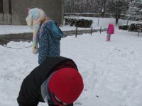 Czytaj więcej: Galeria - Biedronek