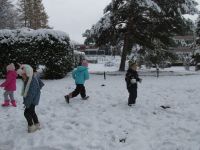 Czytaj więcej: Galeria - Biedronek