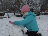 Czytaj więcej: Galeria - Biedronek