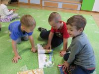 Czytaj więcej: Galeria - Biedronek