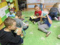 Czytaj więcej: Galeria - Biedronek