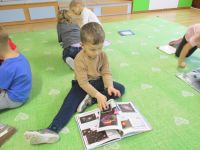 Czytaj więcej: Galeria - Biedronek