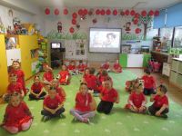 Czytaj więcej: Galeria - Biedronek