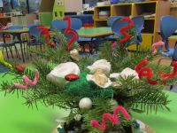 Czytaj więcej: Galeria - Biedronek