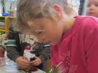 Czytaj więcej: Galeria - Biedronek