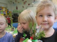 Czytaj więcej: Galeria - Biedronek