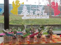 Czytaj więcej: Galeria - Biedronek