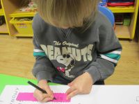 Czytaj więcej: Galeria - Biedronek