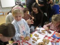 Czytaj więcej: Galeria - Biedronek