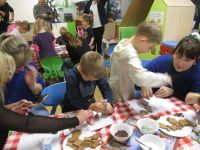 Czytaj więcej: Galeria - Biedronek