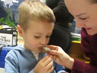 Czytaj więcej: Galeria - Biedronek