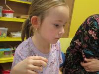 Czytaj więcej: Galeria - Biedronek