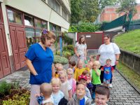 Czytaj więcej: Galeria - Pszczółek