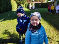 Czytaj więcej: Galeria - Pszczółek