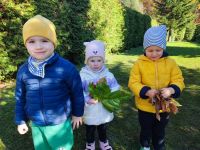 Czytaj więcej: Galeria - Pszczółek