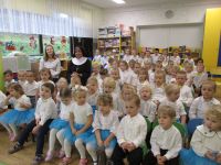 Czytaj więcej: Galeria - Pszczółek