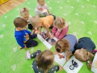 Czytaj więcej: Galeria - Pszczółek