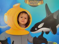 Czytaj więcej: Galeria - Pszczółek