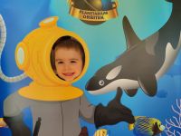 Czytaj więcej: Galeria - Pszczółek