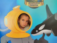 Czytaj więcej: Galeria - Pszczółek